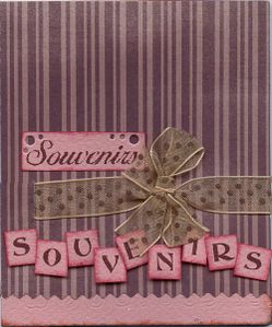 Mini AnneMai couverture