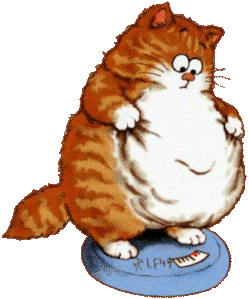 Chat-obese.gif