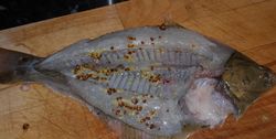 solinette-003-copie-1.JPG