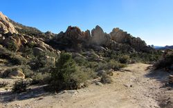 2013-01-19-Mojave-Preserve 6927