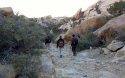 2013-01-19-Mojave-Preserve 6986