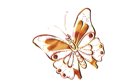 papillon--3-.png