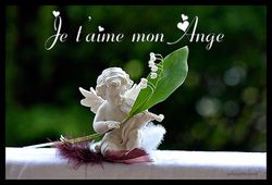 amour-ange-muguet