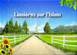 lumieres.png