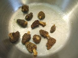 OeufCocotteAspergesMorilles19