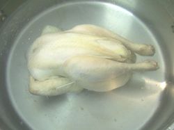 PouleAuPot06.JPG