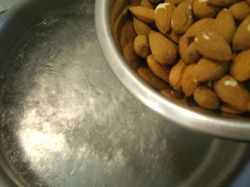 MonderAmandes02