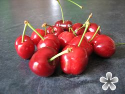 cerises