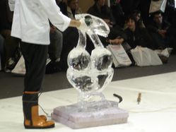 DSC07832.jpg