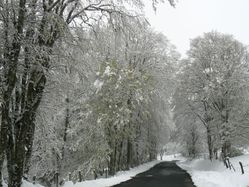 neige en mai Haute Loire 3