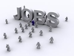 Job zamora forex