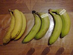 Comment Ralentir La Maturation Des Bananes Le Blog Du Bien Etre Au Naturel