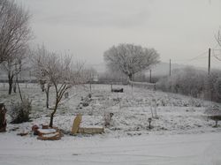 Neige Février 2013