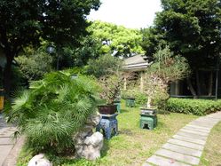 jardin bonsai gz