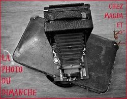 la-photo-du-dimanche-magda