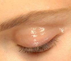bareglossy 3901
