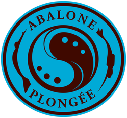 Abalone-plongee big