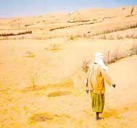 algerie-desertification.jpg