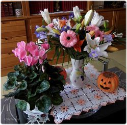 29-oct-030.jpg