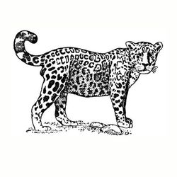 coloriage-jaguar