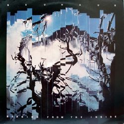 04-1983-Bauhaus-BurningFromTheInside.jpg