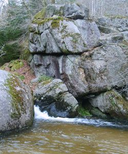 la mare aux sangliers 1