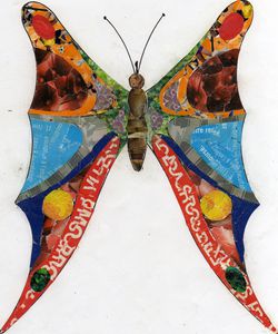papillon collage Marine