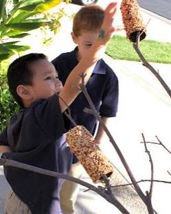Http Www Sheknows Com Home And Gardening Articles Build A Diy Bird Feeder Http Www Sheknows Com Home And Gardening Articles Build A Diy Bird Feeder