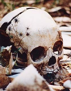 null Beardsley-5-skull.jpg