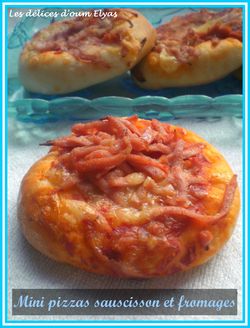 Mini-pizzas-avec-la-pate-de-Kaouther--6-.JPG