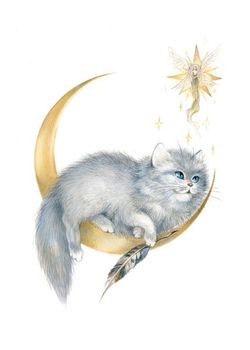 severine pineaux chat de lune