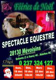 101226-Spectacle-equestre_small.jpg