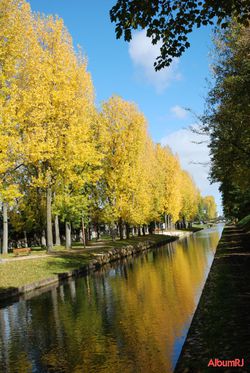 my team si strong - canal de l'Ourcq-01