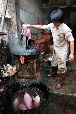 chine-dbb7e47a.jpg