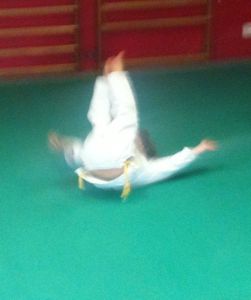 Pre-aikido-lambesc 0220