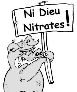 nini