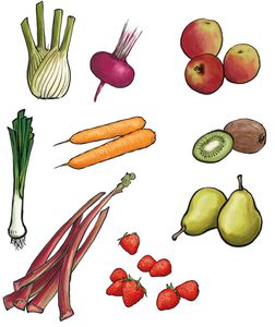 fruit-legume.jpg