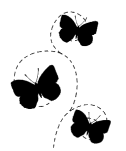 papillons 01