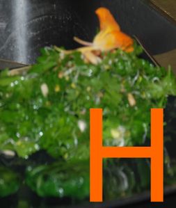 Herbier a croquer