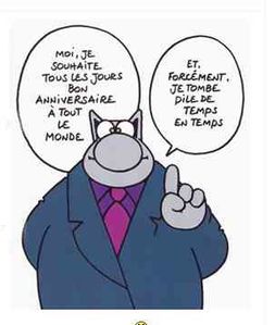 le-chat-anniversaire-1.jpg