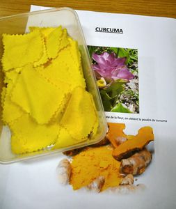 P1190020.jpg