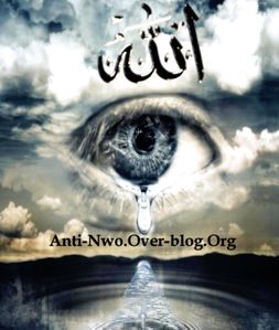 LOGO-DU-BLOG-ANTI-NWO.jpg
