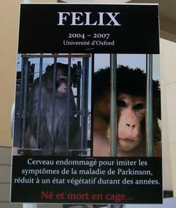 006_affiche_felix.jpg