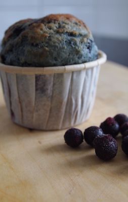blueberry-Muffins.jpg