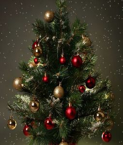 image0-2012-12-25-00-14-22--0000