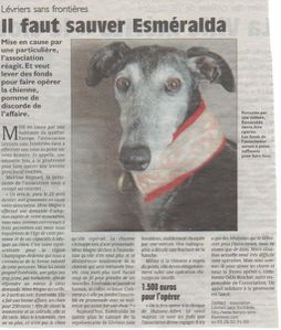 B Article-Sauver-Esmeralda