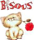 chaton---la-rose-Bisous.jpg