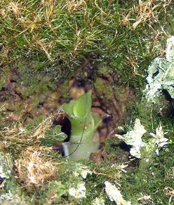DSCN0614.JPG