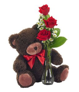 Trio Little Bear