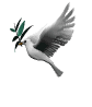 colombe-symbole-paix